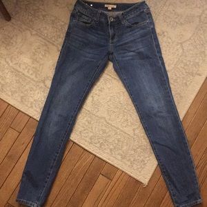 CAbi timeless jeans